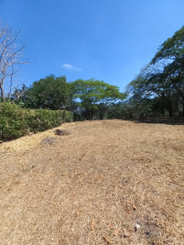 Lote En Venta - Vereda Aparco, Ibagué