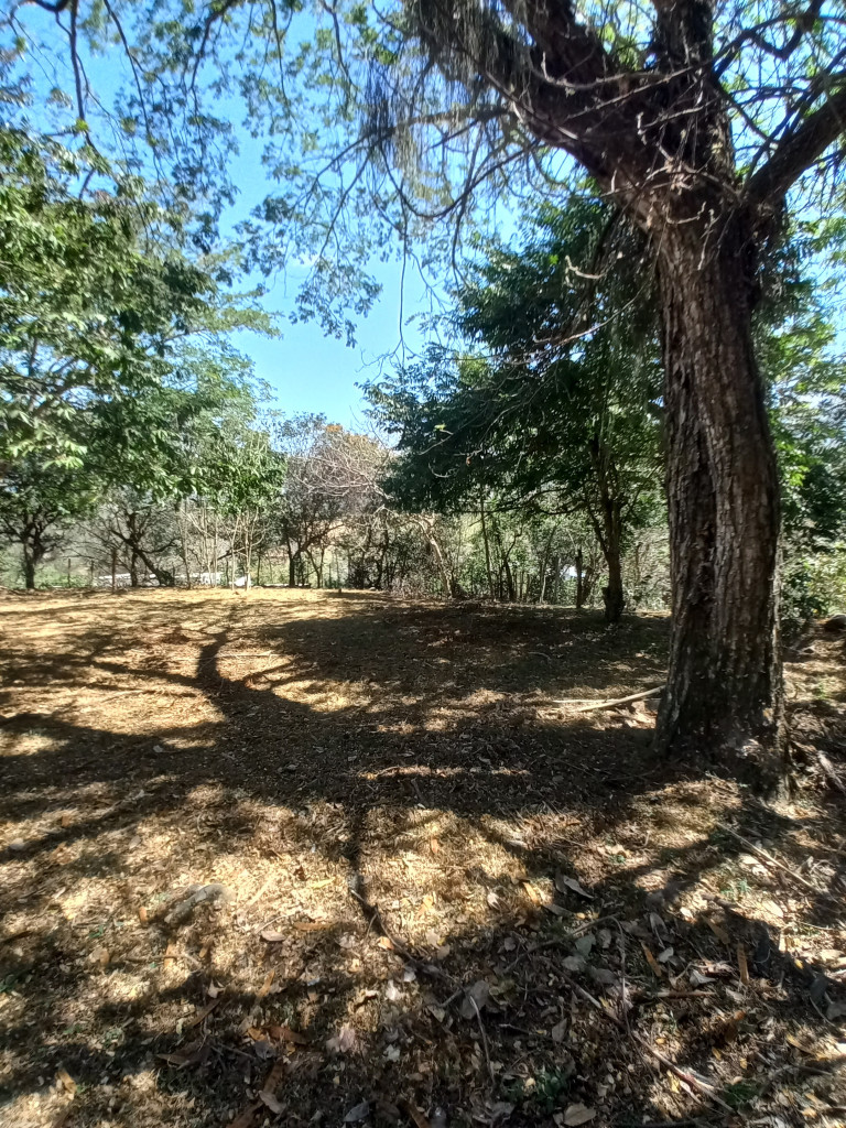 Lote En Venta - Vereda Aparco, Ibagué