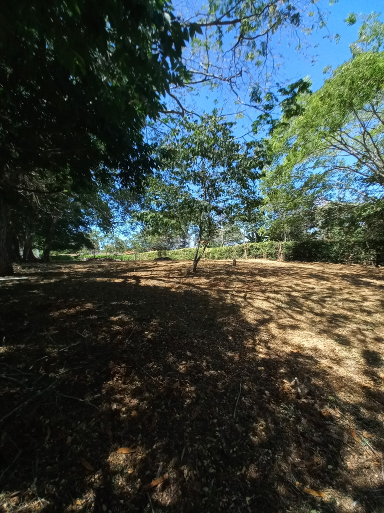 Lote En Venta - Vereda Aparco, Ibagué
