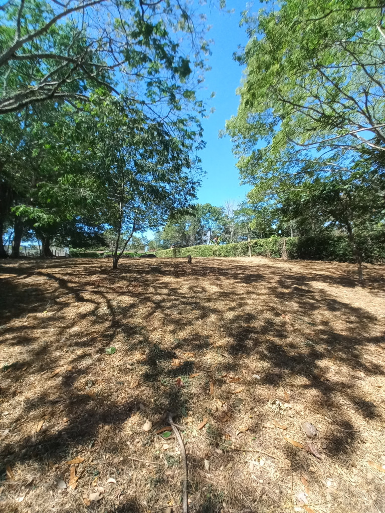 Lote En Venta - Vereda Aparco, Ibagué