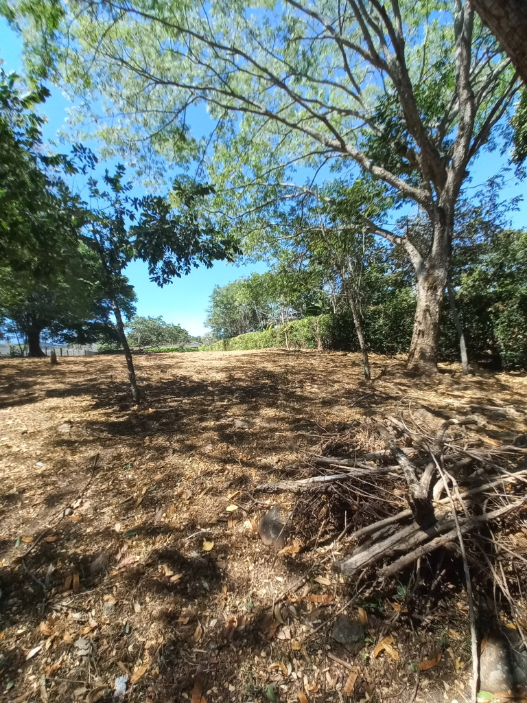 Lote En Venta - Vereda Aparco, Ibagué