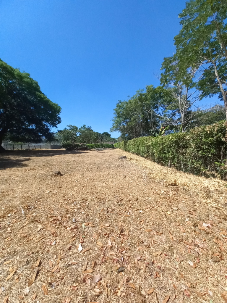 Lote En Venta - Vereda Aparco, Ibagué