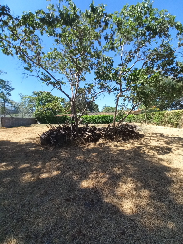 Lote En Venta - Vereda Aparco, Ibagué