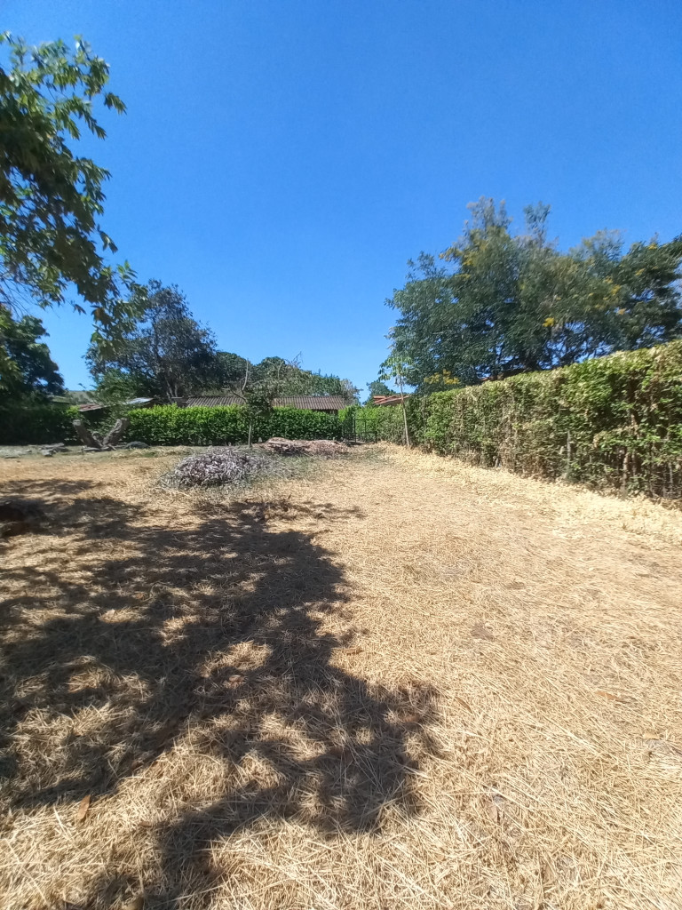 Lote En Venta - Vereda Aparco, Ibagué