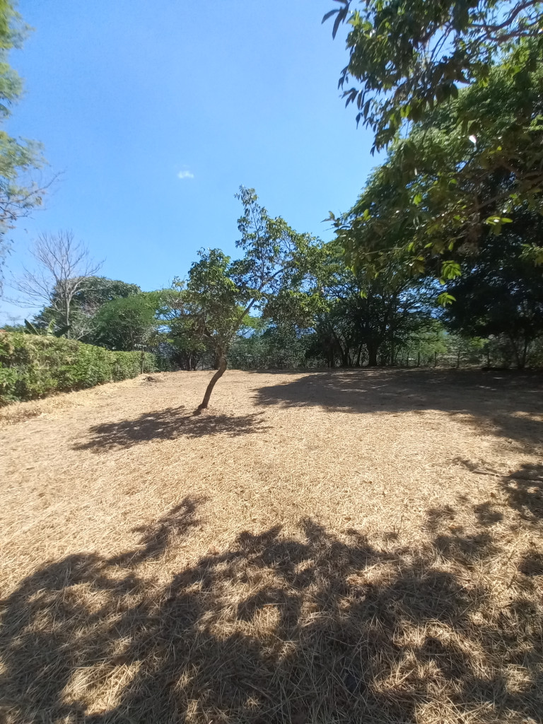 Lote En Venta - Vereda Aparco, Ibagué