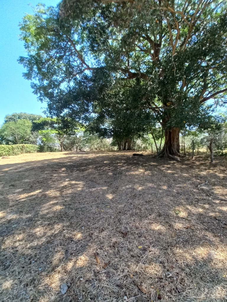 Lote En Venta - Vereda Aparco, Ibagué