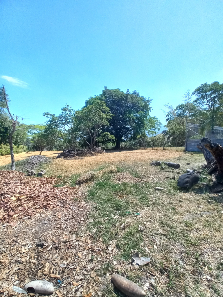 Lote En Venta - Vereda Aparco, Ibagué