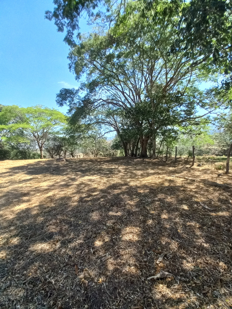 Lote En Venta - Vereda Aparco, Ibagué