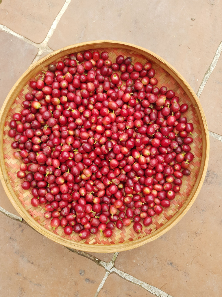 Finca En Venta - Vereda El Espinalito Alto, Fusagasugá
