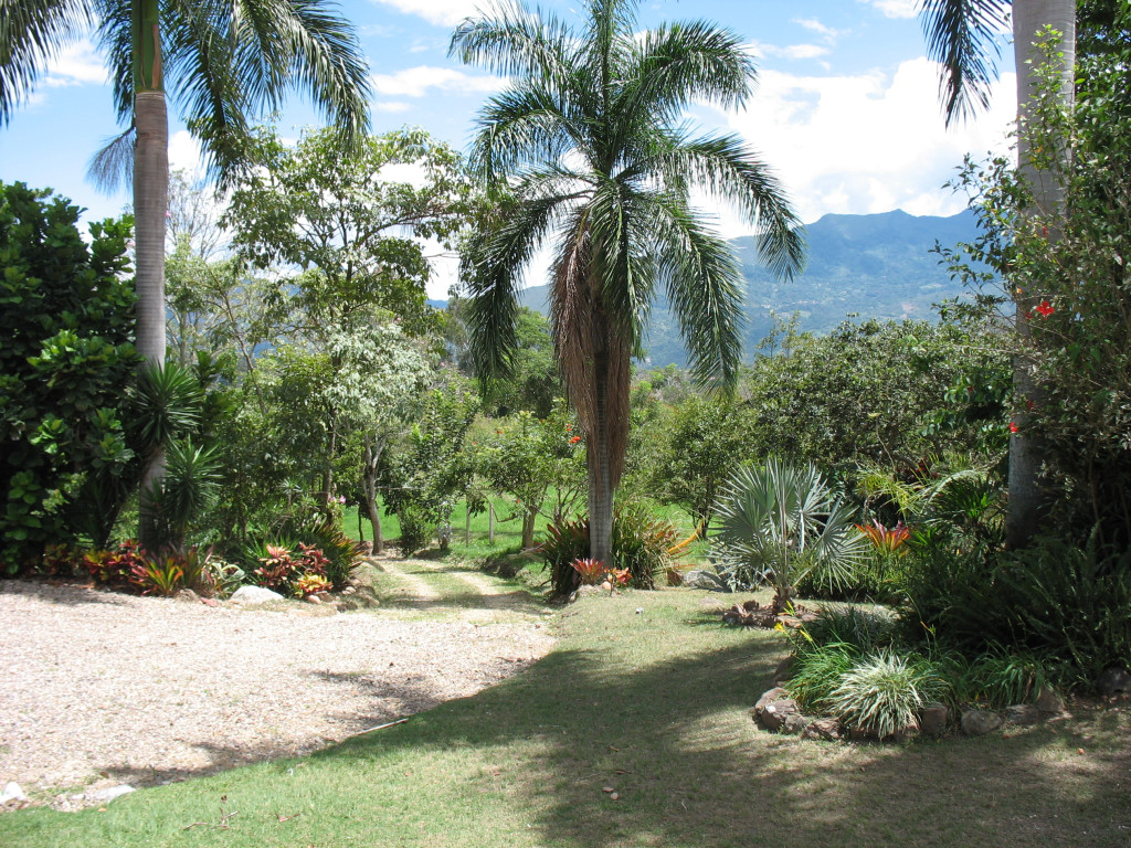 Finca En Venta - Vereda El Espinalito Alto, Fusagasugá