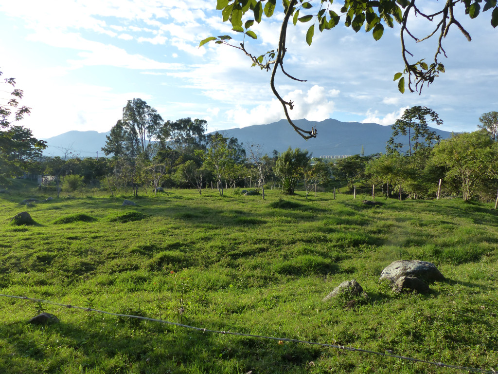 Finca En Venta - Vereda El Espinalito Alto, Fusagasugá