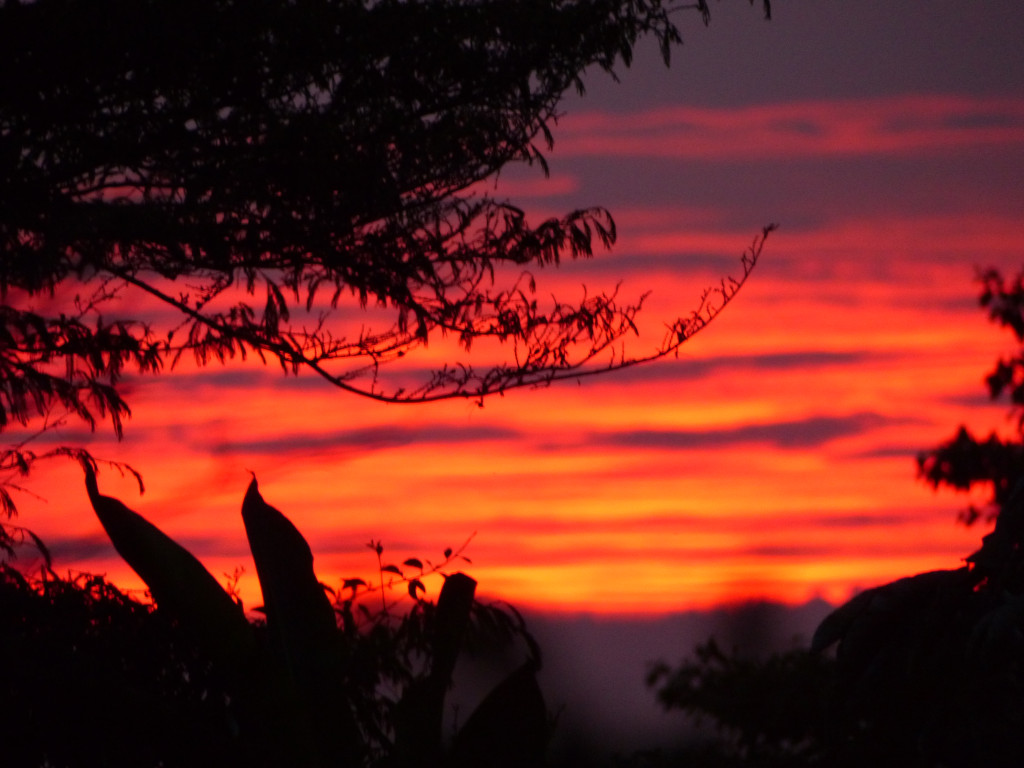 Finca En Venta - Vereda El Espinalito Alto, Fusagasugá