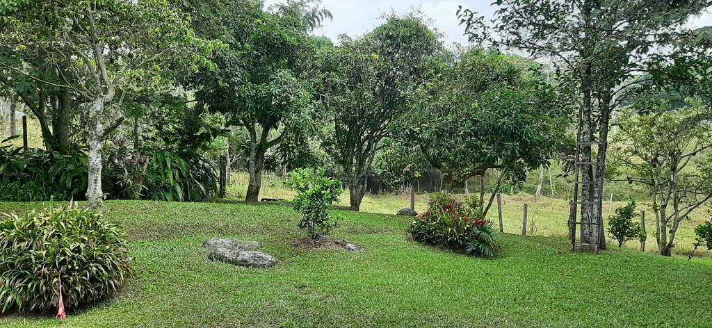 Finca En Venta - Vereda El Espinalito Alto, Fusagasugá