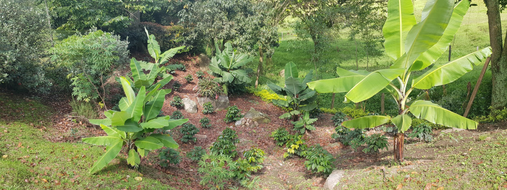Finca En Venta - Vereda El Espinalito Alto, Fusagasugá