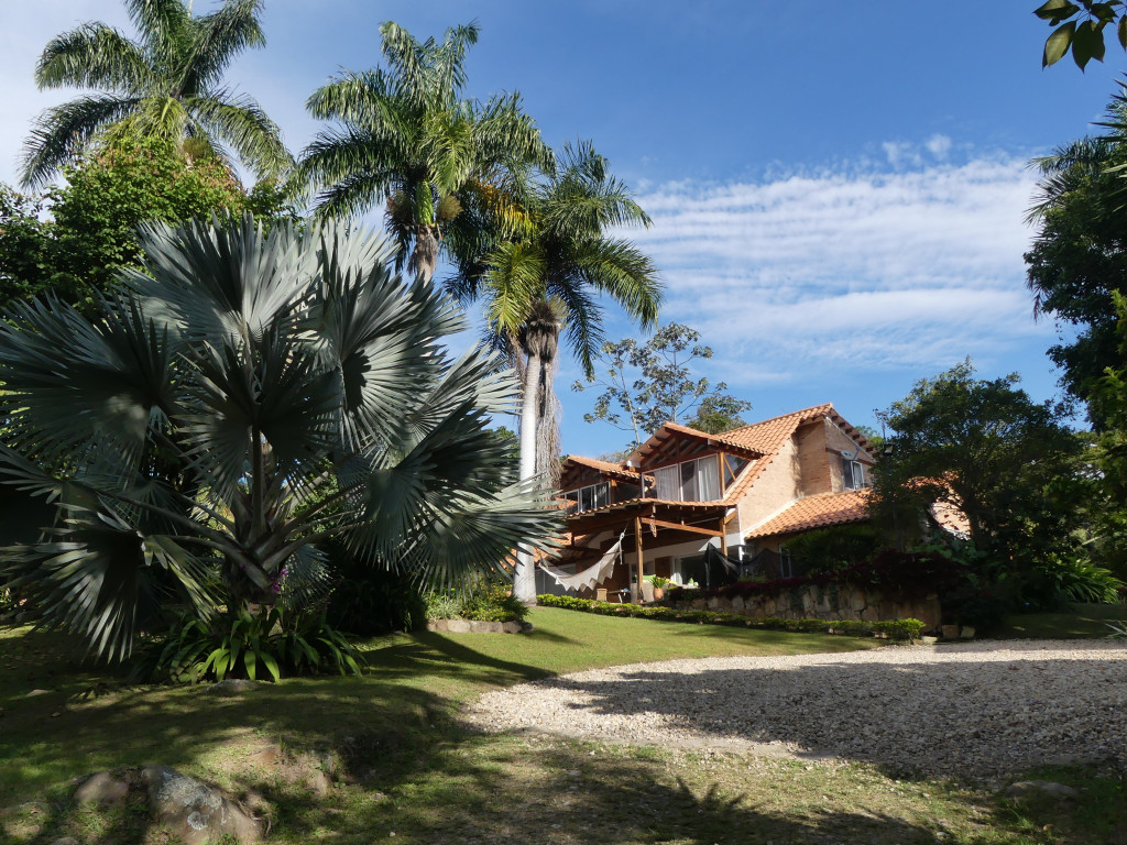 FINCA en VENTA en VEREDA EL ESPINALITO ALTO — 3