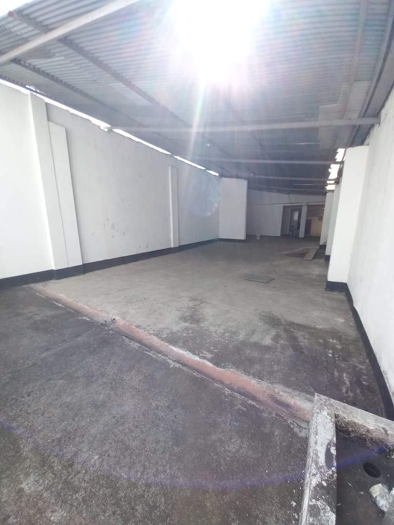 Local En Arriendo - El Carmen, Ibagué