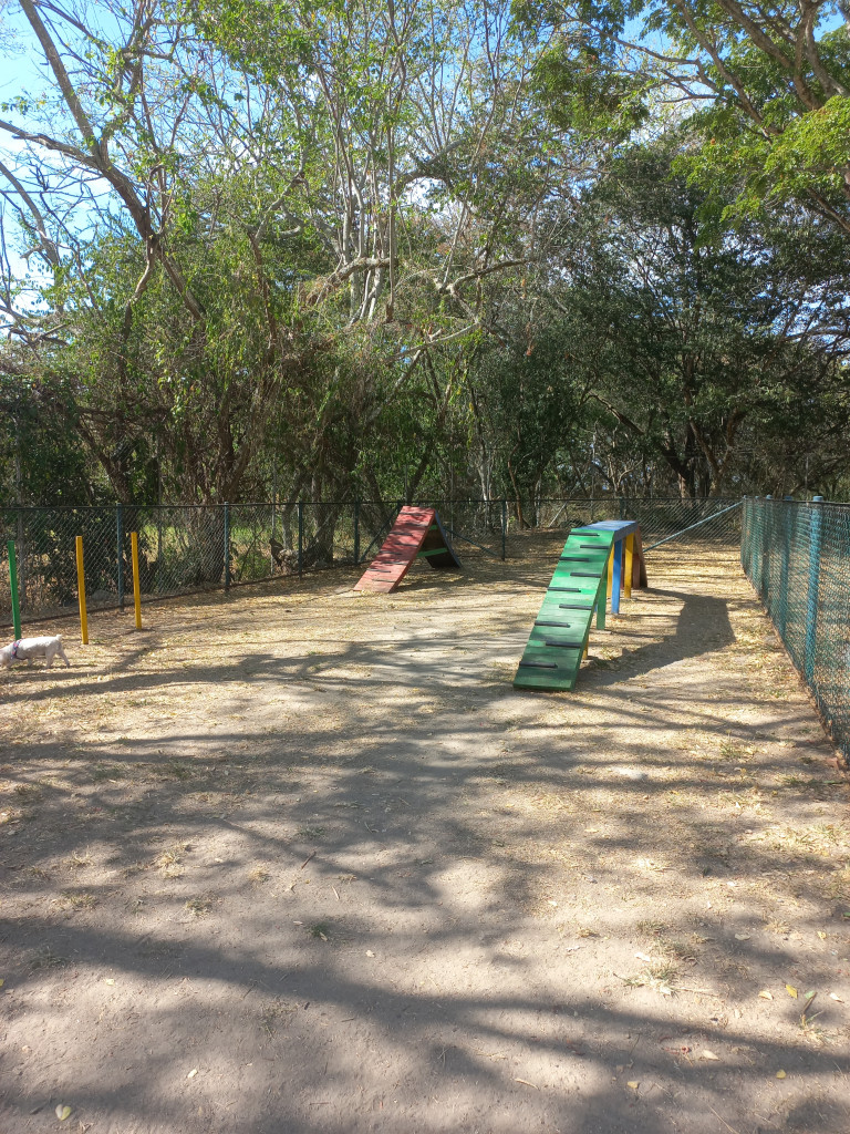 Apartamento En Arriendo - Fontana Campestre, Ibagué