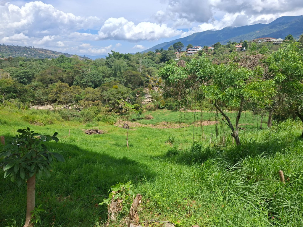 Finca En Venta - Finca San Pedro Vereda Usatama, Fusagasugá
