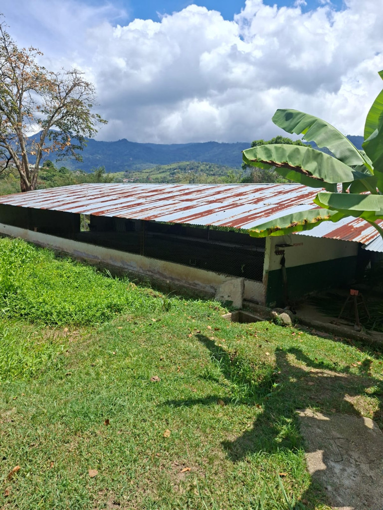 Finca En Venta - Finca San Pedro Vereda Usatama, Fusagasugá