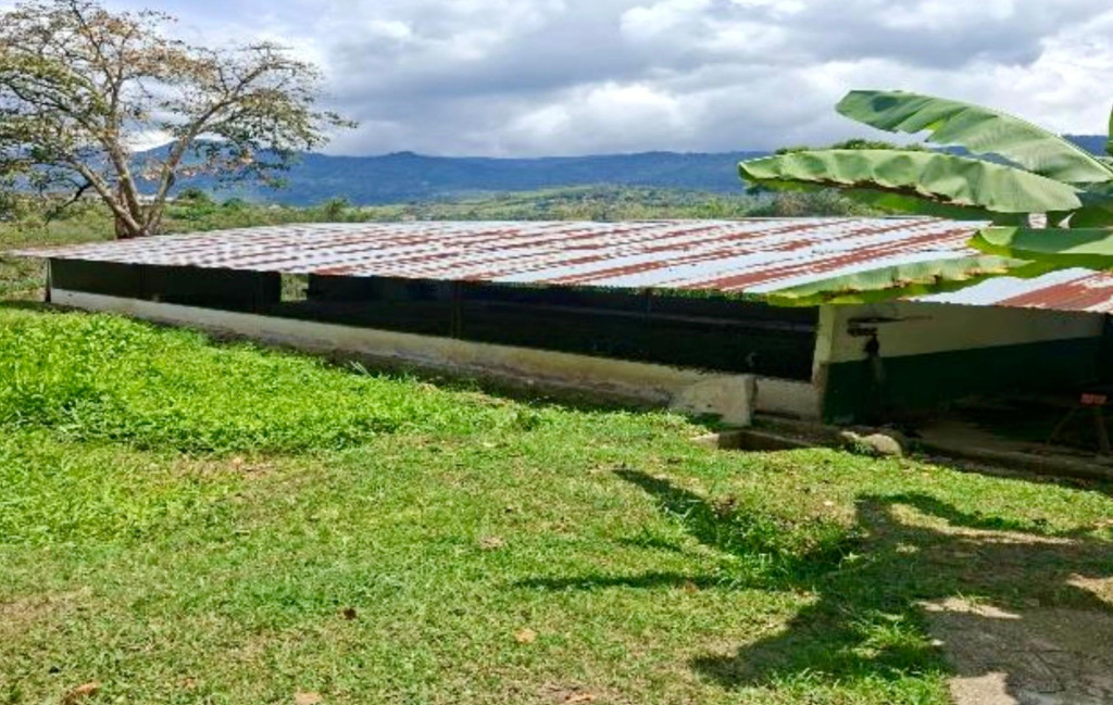 FINCA en VENTA en FINCA SAN PEDRO VEREDA USATAMA — 4