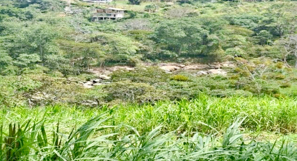 FINCA en VENTA en FINCA SAN PEDRO VEREDA USATAMA — 5
