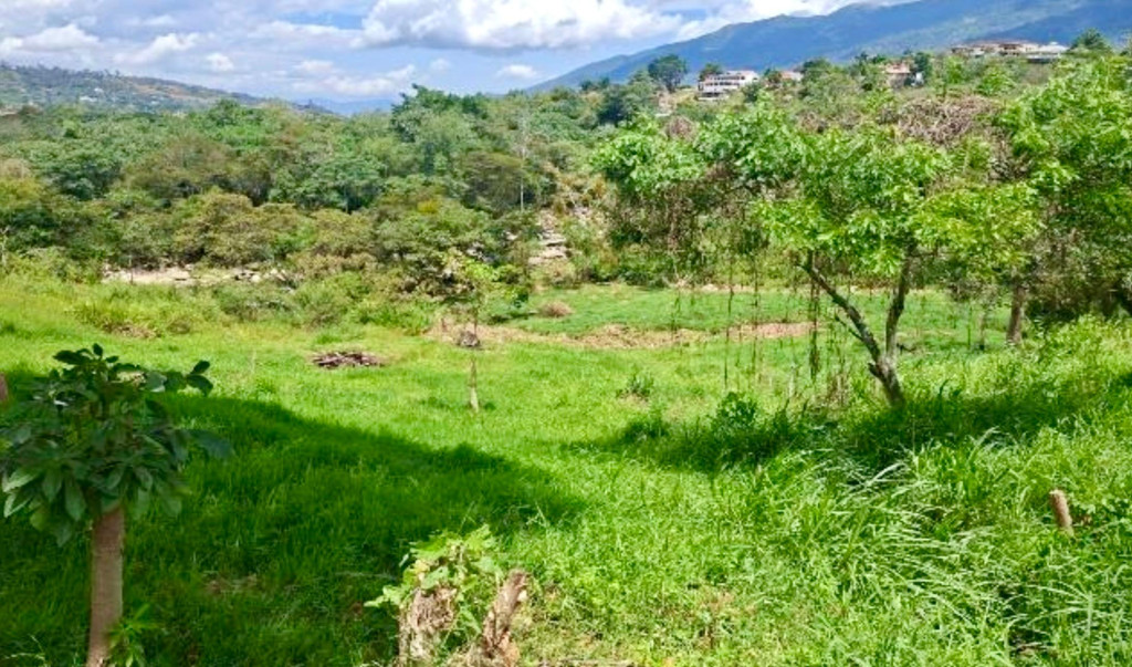 Finca En Venta - Finca San Pedro Vereda Usatama, Fusagasugá