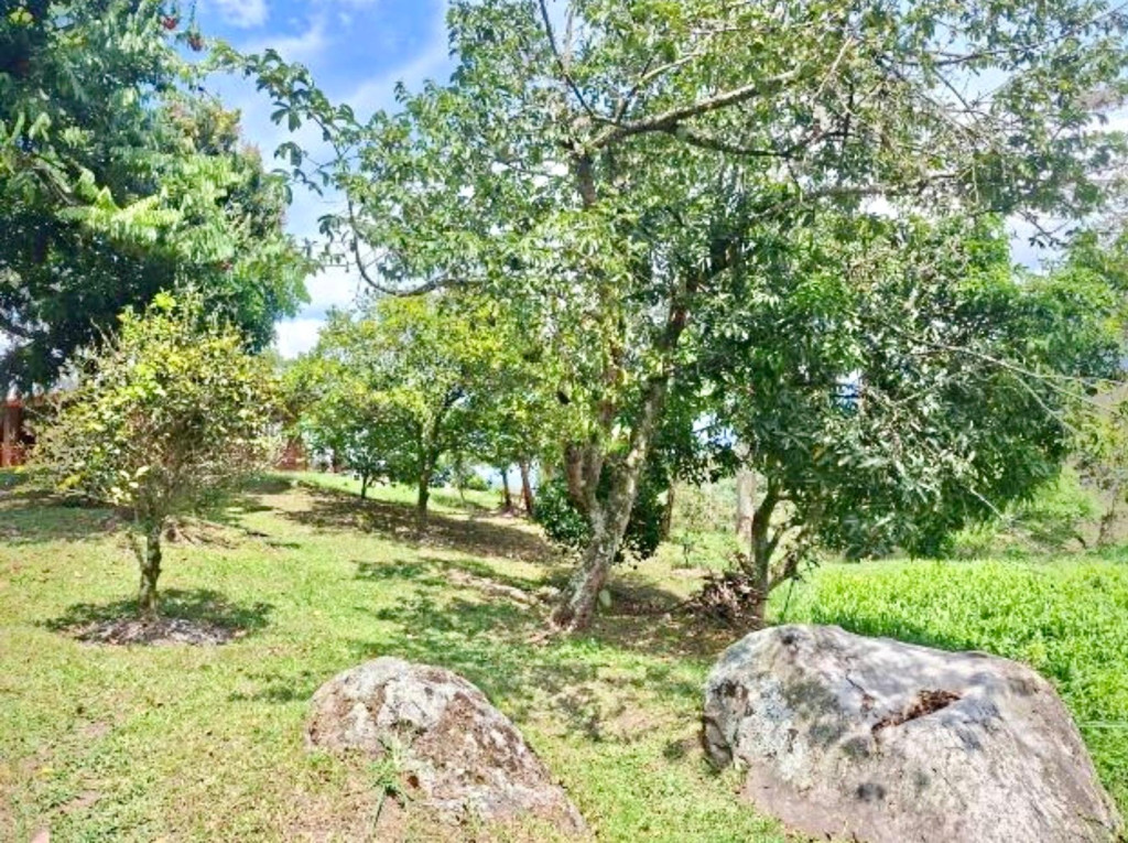 Finca En Venta - Finca San Pedro Vereda Usatama, Fusagasugá