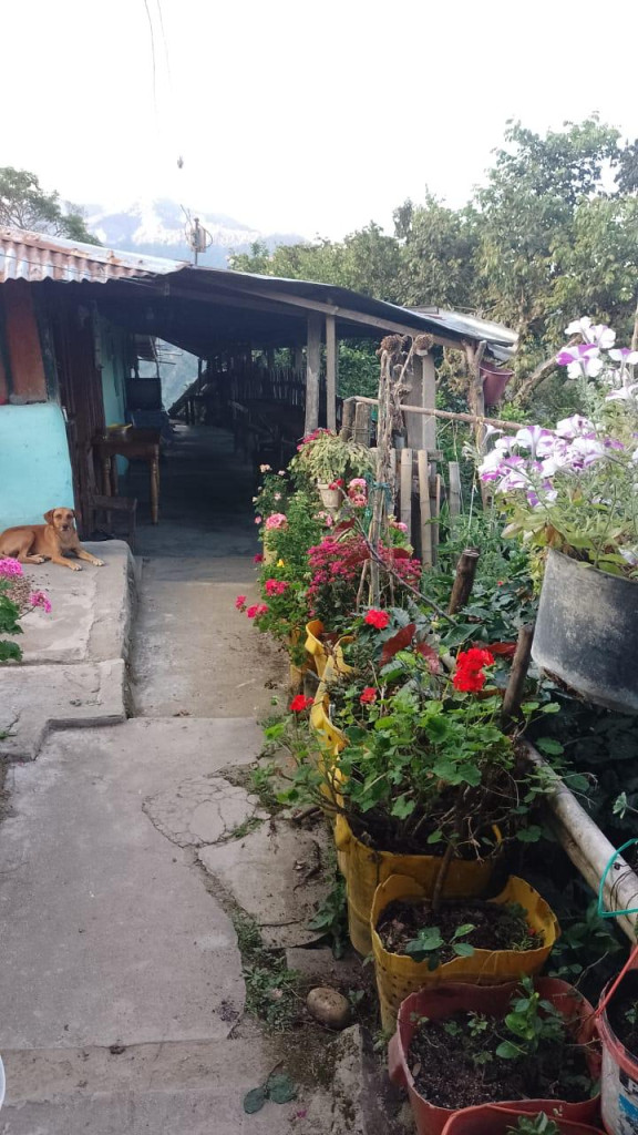 Finca En Venta - Vereda La Palmita, Róvira
