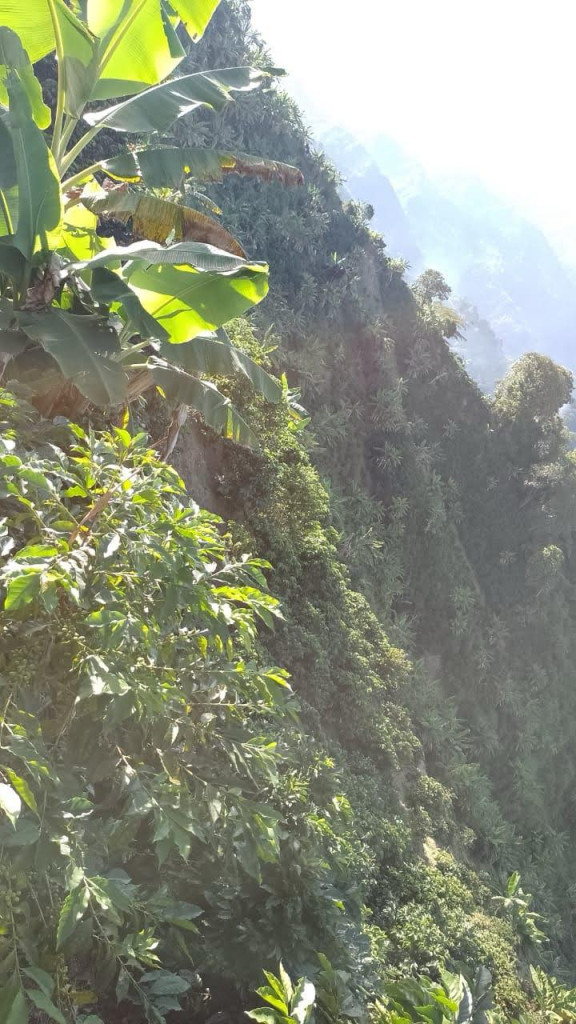 Finca En Venta - Vereda La Palmita, Róvira