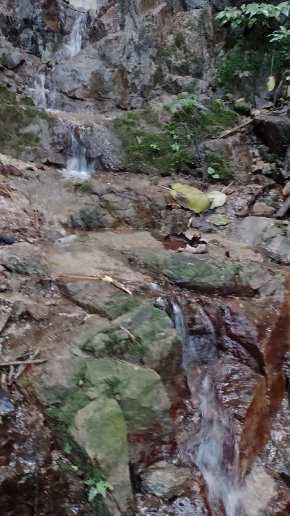 FINCA en VENTA en VEREDA LA PALMITA — 4
