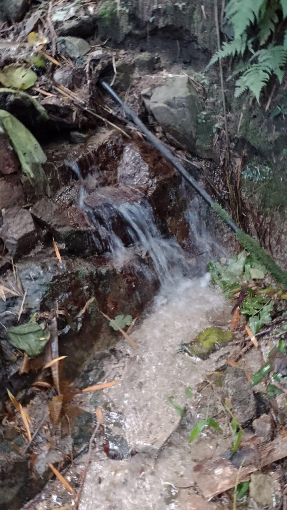 Finca En Venta - Vereda La Palmita, Róvira