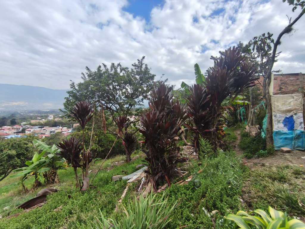 Casalotes En Venta - Los Andes, Fusagasugá