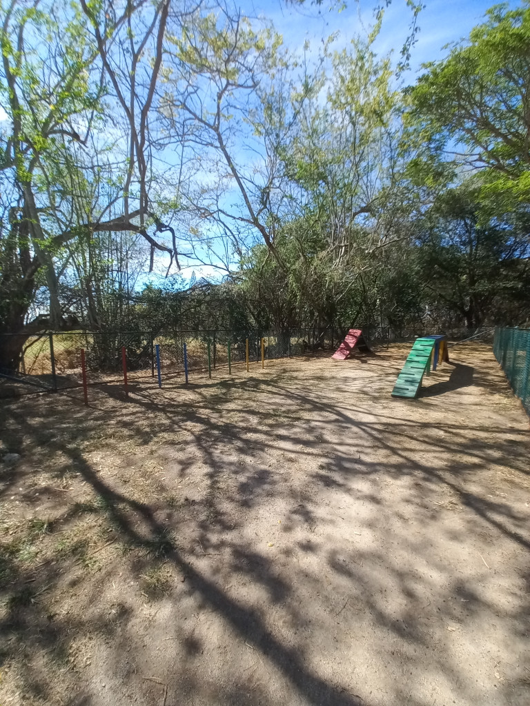 Apartamento En Arriendo - Fontana Campestre Piso 8, Ibagué