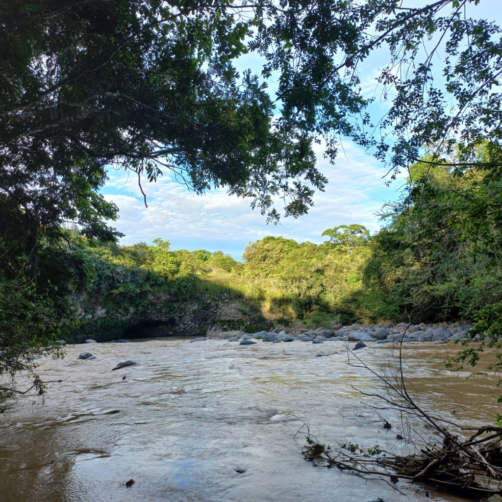 Finca En Venta - Finca Potreros De La Cruz, San Luis