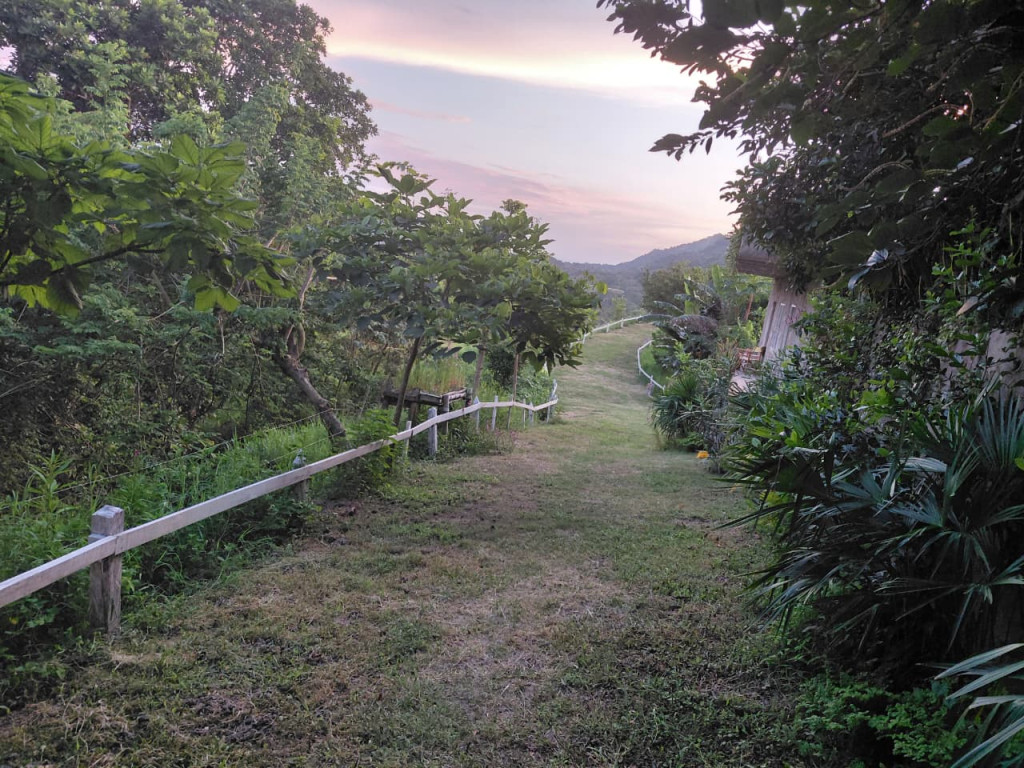 Finca En Venta - Finca Potreros De La Cruz, San Luis