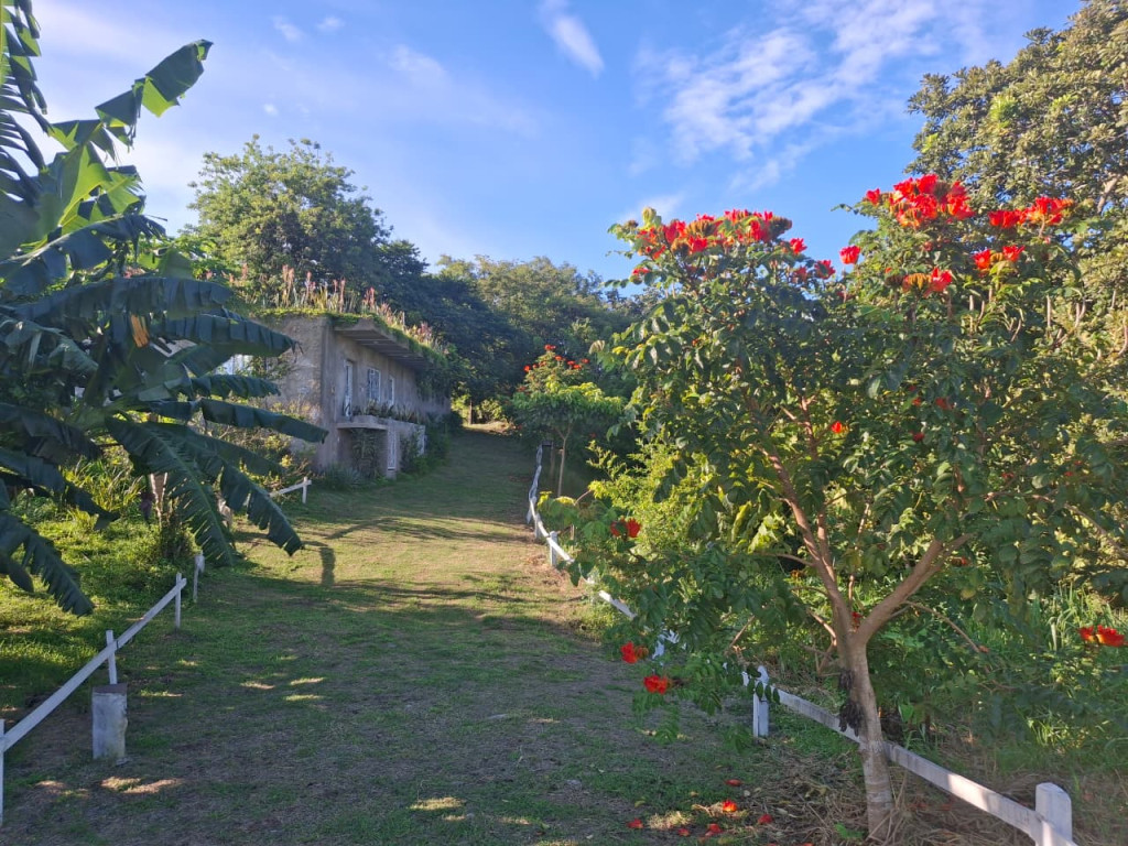 Finca En Venta - Finca Potreros De La Cruz, San Luis