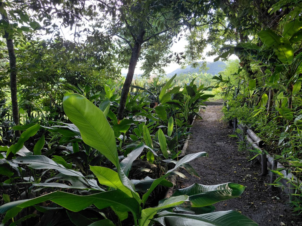 Finca En Venta - Finca Potreros De La Cruz, San Luis