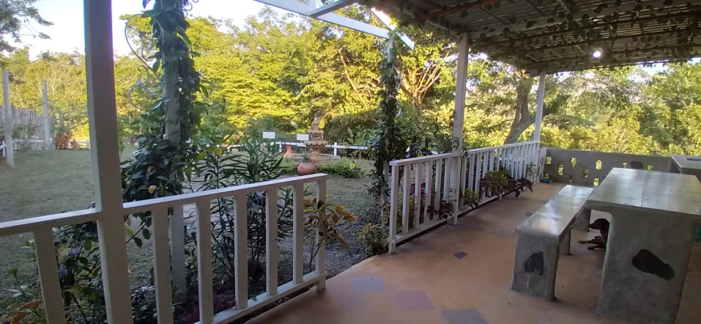 FINCA en VENTA en FINCA POTREROS DE LA CRUZ — 3