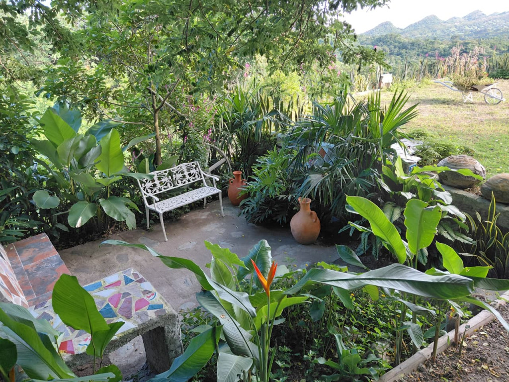 FINCA en VENTA en FINCA POTREROS DE LA CRUZ — 4
