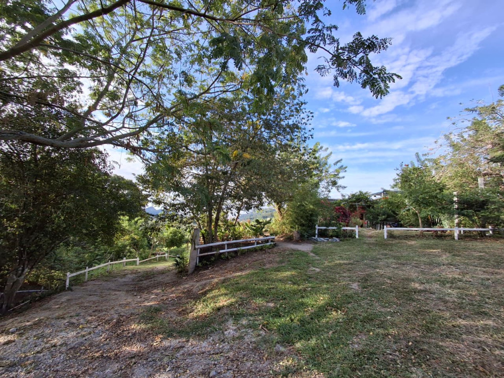 FINCA en VENTA en FINCA POTREROS DE LA CRUZ — 5