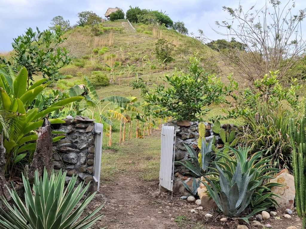Finca En Venta - Finca Potreros De La Cruz, San Luis