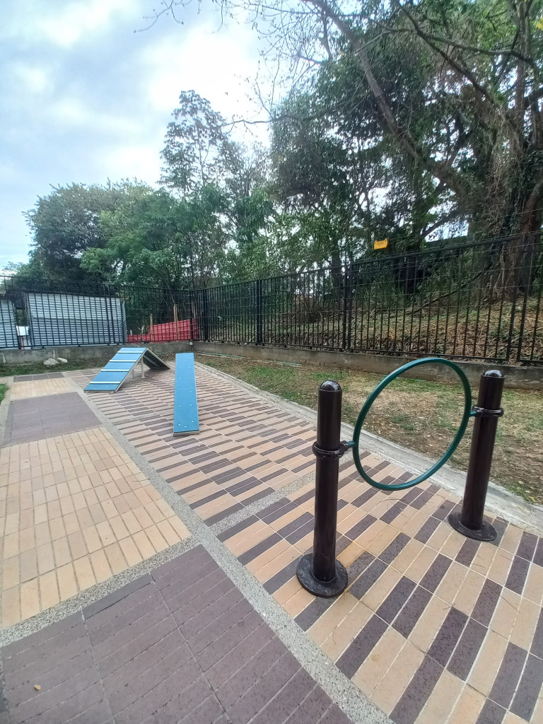 Apartamento En Arriendo - Bosque Reservado  Piso 8, Ibagué