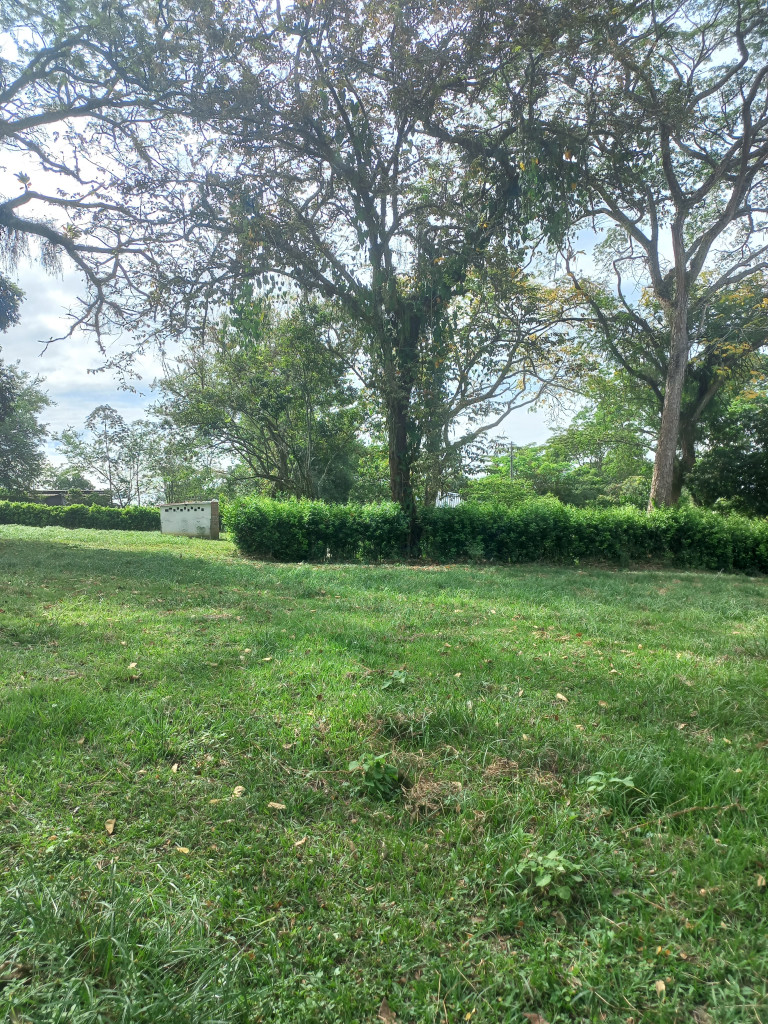 Lote En Arriendo - Lote Alto Del Combeima Fraccion Aparco, Ibagué