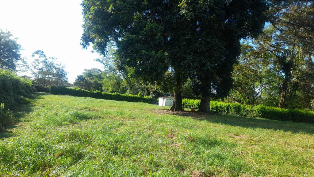 Lote En Arriendo - Lote Alto Del Combeima Fraccion Aparco, Ibagué