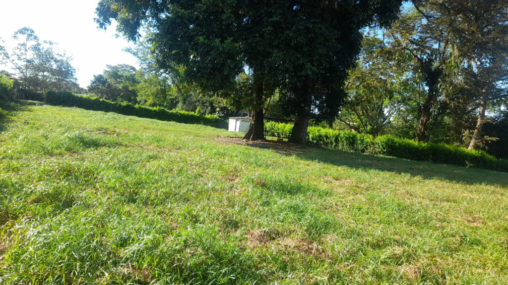 Lote En Arriendo - Lote Alto Del Combeima Fraccion Aparco, Ibagué