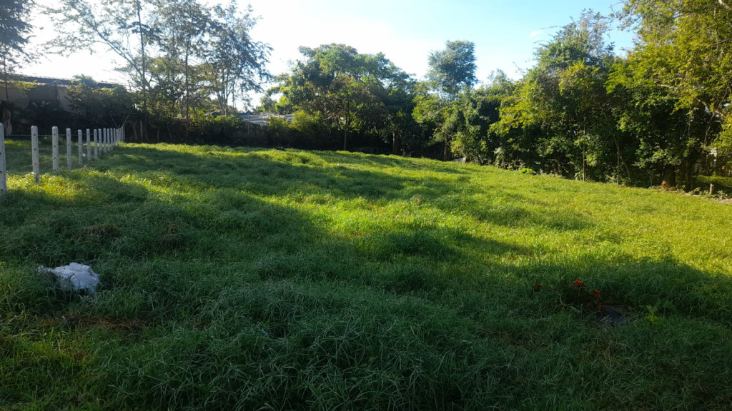 Lote En Arriendo - Lote Alto Del Combeima Fraccion Aparco, Ibagué