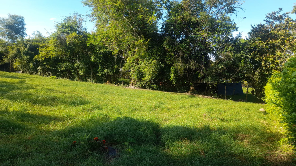 Lote En Arriendo - Lote Alto Del Combeima Fraccion Aparco, Ibagué