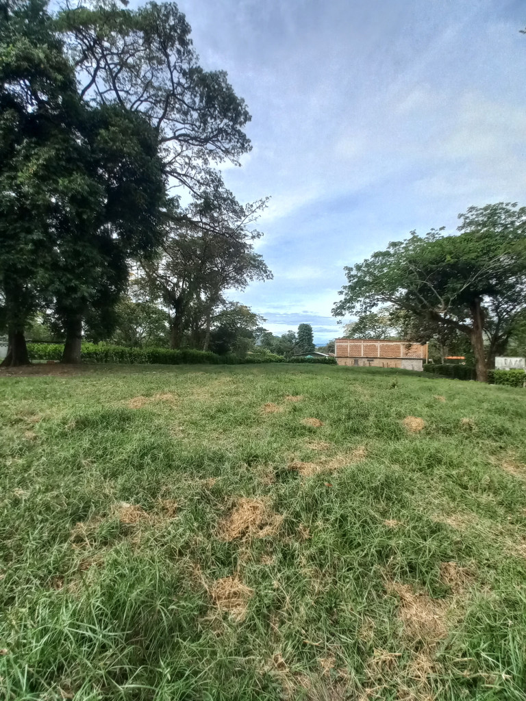 LOTE en ARRIENDO en LOTE ALTO DEL COMBEIMA FRACCION APARCO — 3