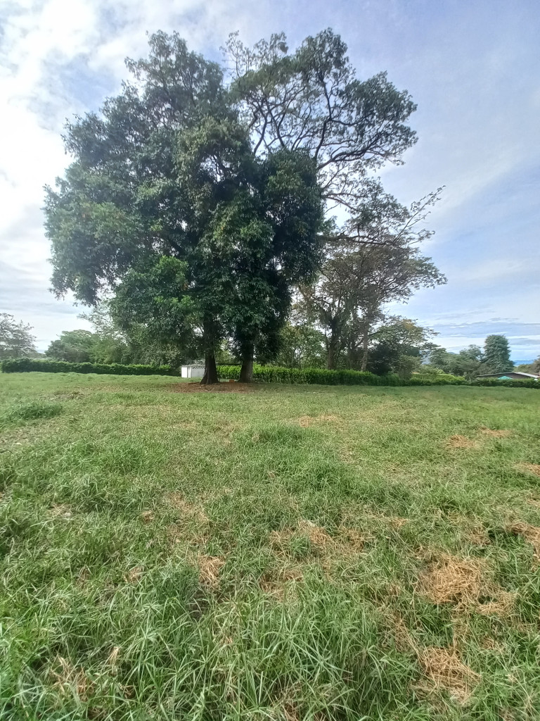 LOTE en ARRIENDO en LOTE ALTO DEL COMBEIMA FRACCION APARCO — 4