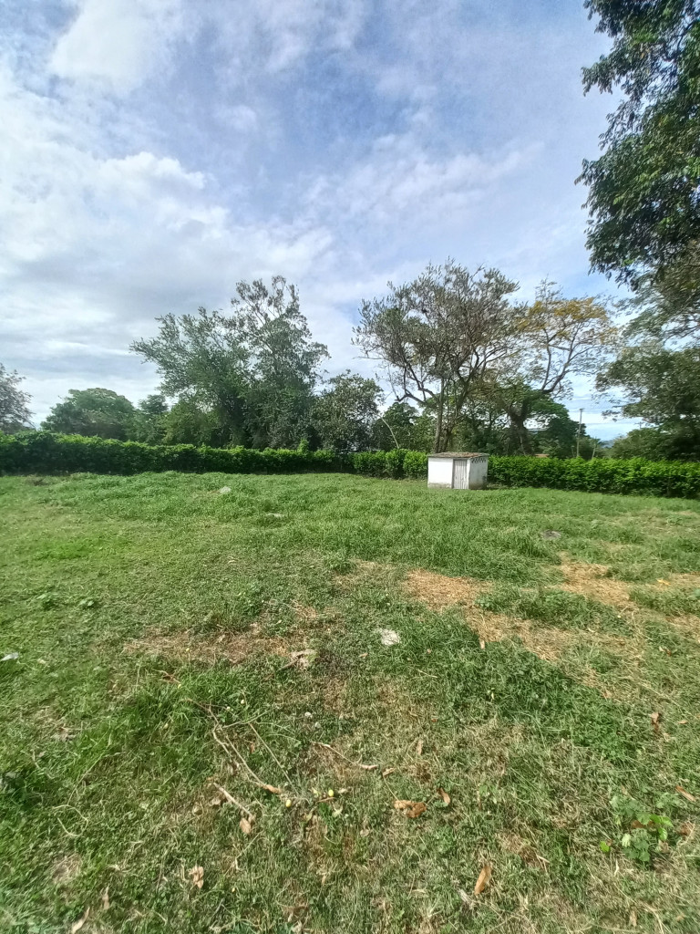 Lote En Arriendo - Lote Alto Del Combeima Fraccion Aparco, Ibagué